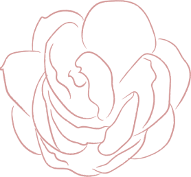 elements line drawing white jasmine flower illustrations FF57E82 2020 06 29 2 1